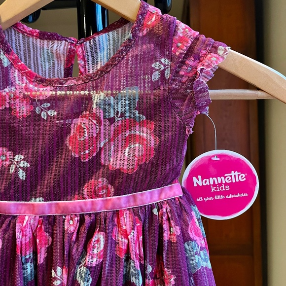 Nannette Kids Girls Pleated Tulle Overlay Velvet Ribbon Waist Rose Dress 2T 4T - Picture 7 of 8